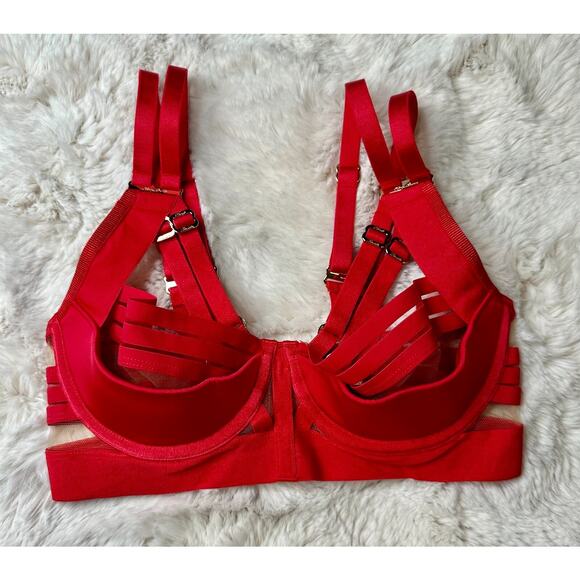 Honey Birdette LINDA C❤️ Raspberry Red Striped Bra 30DD - Picture 2 of 5